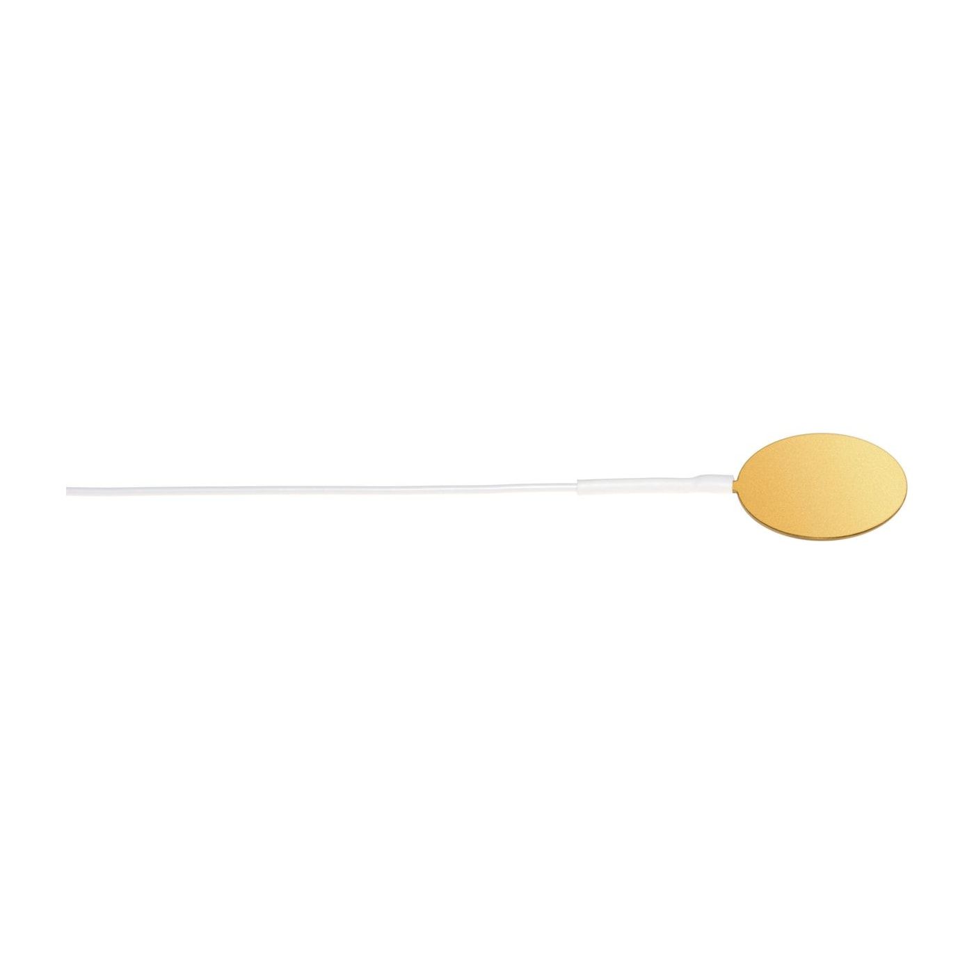 Cupules EEG Ag/AgCl à usage unique